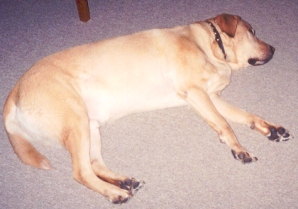 Ashton is despondent.
