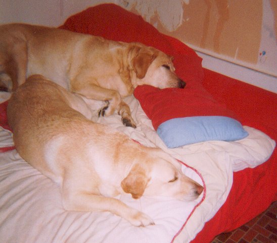 Bed Time