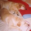 Bed Time