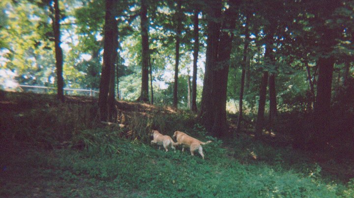 Exploring the Camp