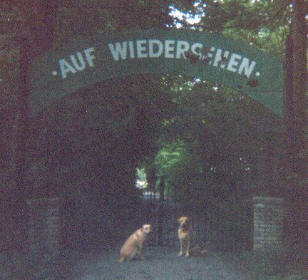 Auf Wiedersehen