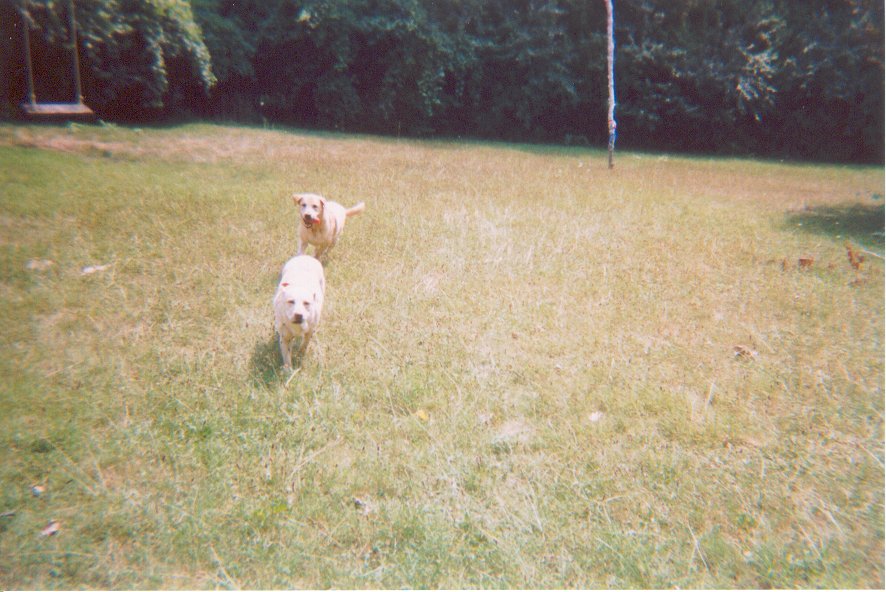 Running