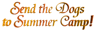Send the Doggies to Summer Camp!